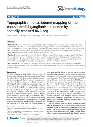 Topographical transcriptome mapping of the mouse medial ganglion